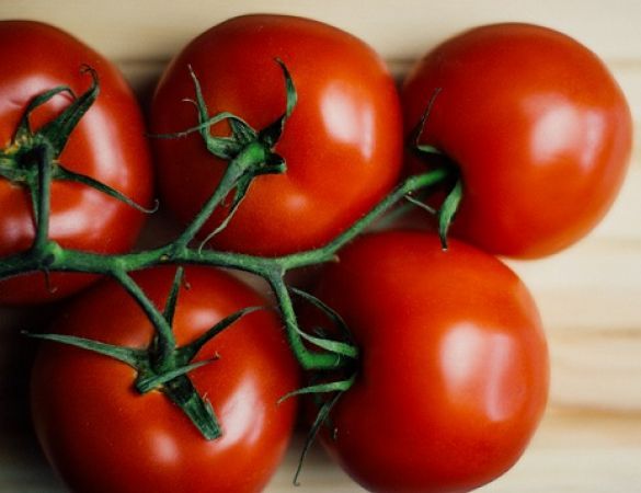 Tomato helps mind to work faster