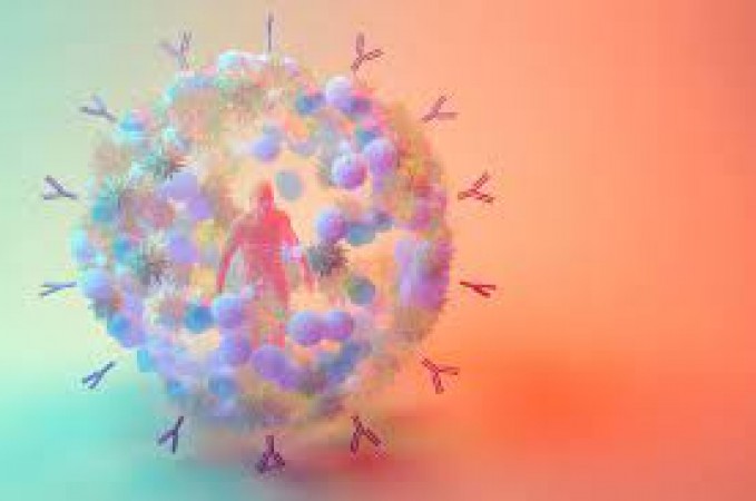 Unveiling the Hidden Threats to Your Immune System