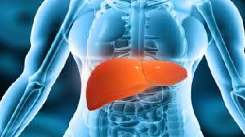 Liver Health Awareness: Identifying Early Warning Signs