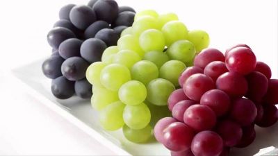 Grapes juice provides relief in migraine