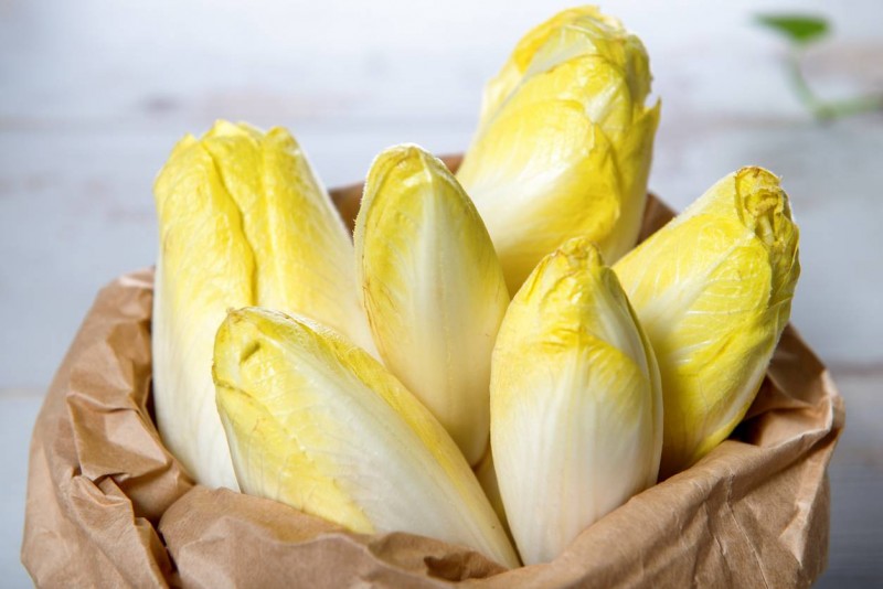 Endive: Medical Advice, Dangers, and More