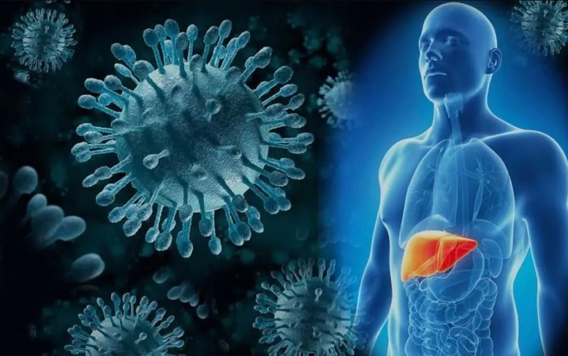 Hepatitis A: How dangerous is it?
