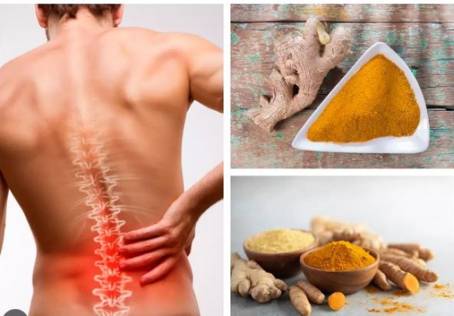 Back Pain Bothering You? Modify Your Diet with These 6 Choices