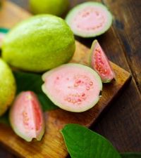 Use of guava is beneficial for malaria patients