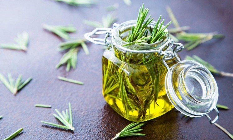 It's High Time to Discover  Hidden Wonders of Rosemary Oil:  Hair Growth Elixir, and More