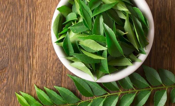 Are You Dreaming of Longevity? Make the Habit of 'Curry Leaf Tea' and Reap These Benefits