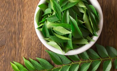 Are You Dreaming of Longevity? Make the Habit of 'Curry Leaf Tea' and Reap These Benefits