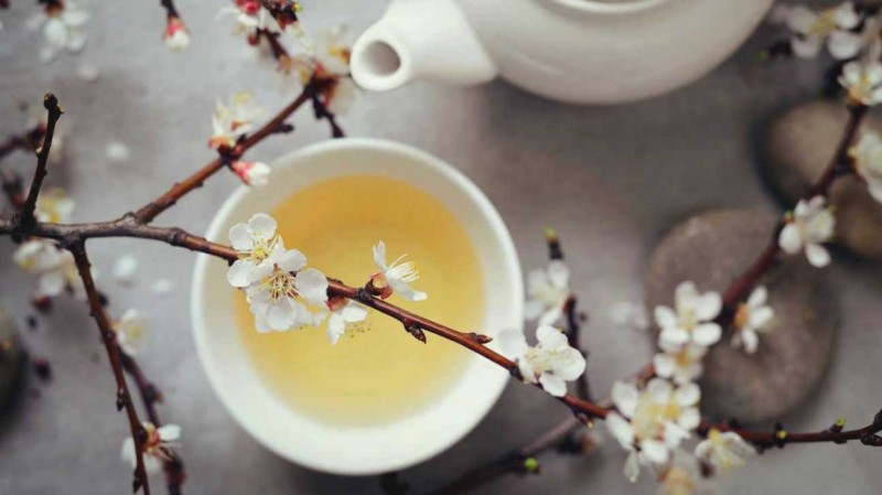 Winter beverages 2020: White tea and it's types to try