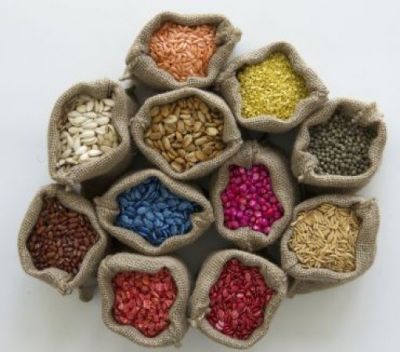 Different types of seeds remove many problems related to health