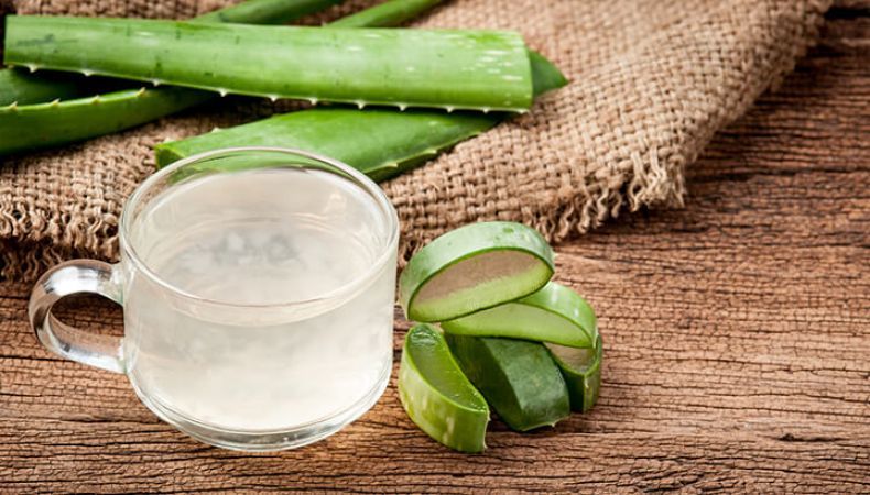 Aloe Vera juice is beneficial in jaundice