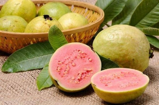 Intake of guava is beneficial for the brain