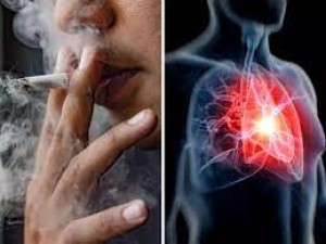 सिगरेट का धुआं भी बिगाड़ सकता है दिल की सेहत, जानें इसके खतरे