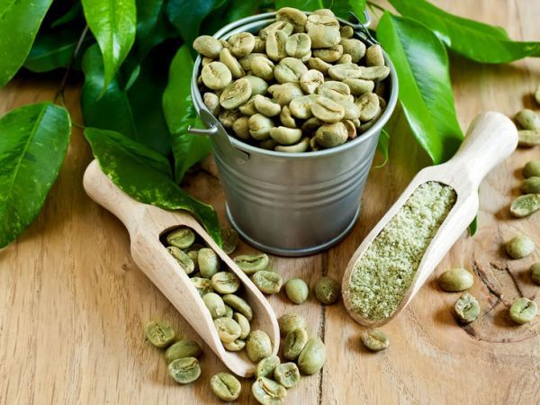 Green coffee reduces weight