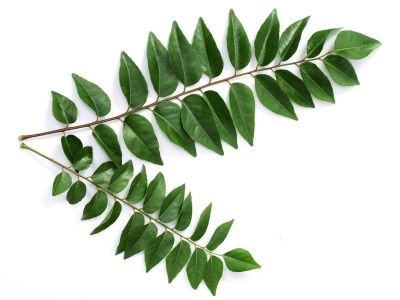 Curry leaves keep the level of sugar in control