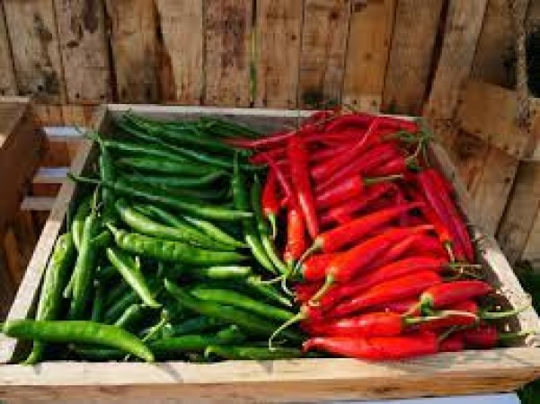 Red or green... which chilli is good for the body?