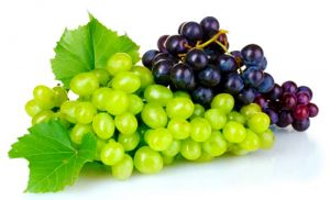 Regular intake of 'Grapes' may provide a protective effect from Alzheimer's