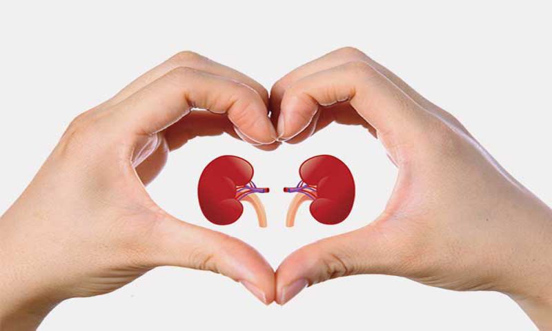 Amazing tips to can keep your kidney healthy