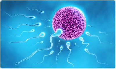 low sperm count is the indicator of poor health