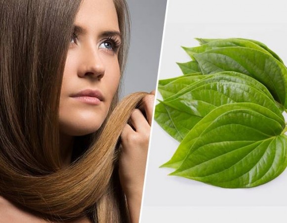 Applying These Leaves in Oil on Your Hair Will Stop Hair Fall