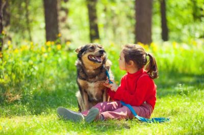 spending time with dog may lower down the stress in children