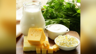 LIFESTYLE- FOOD: Probiotics, Fermented Dairy Products