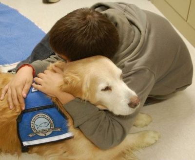 Therapy dogs can be helpful in treating ADHD symptoms