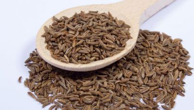 Use of cumin seeds is beneficial in stomachache