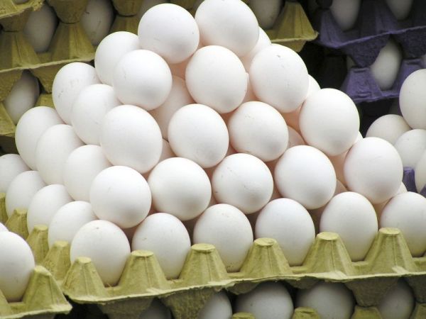Egg intake will help in diabetes control