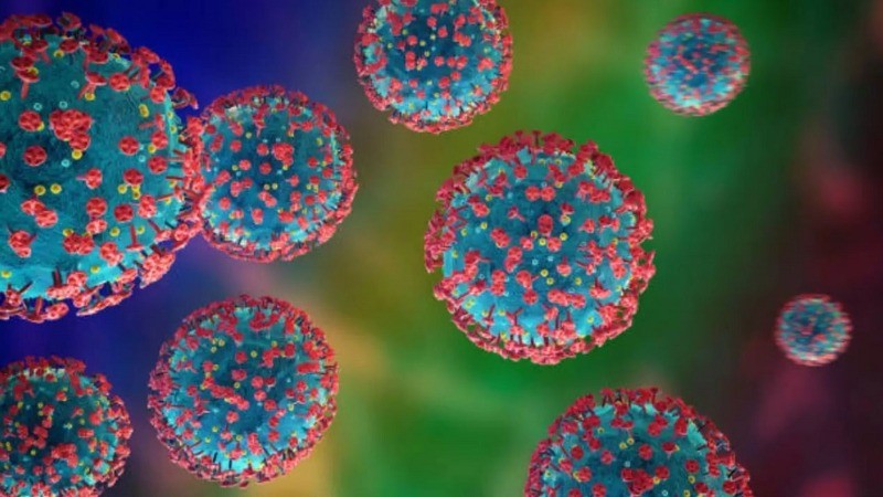 Human Metapneumovirus (HMPV): All Your FAQs Answered