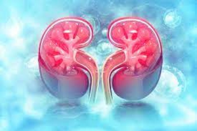 Do not take these minor stomach problems lightly...can be signs of kidney damage