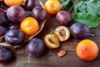 Plum is rich in fibre and helps to cure diseases like breast cancer