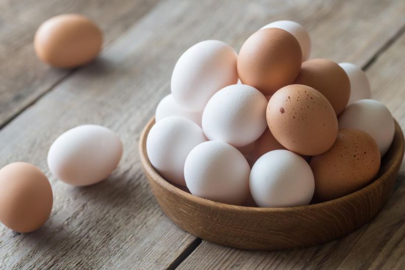 Benefits of protein-rich eggs