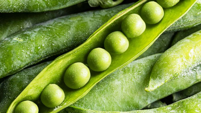 If you eat a lot of peas in winter then take special care of these things, otherwise your health will deteriorate