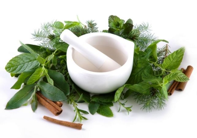 4 herbs which you can use to manage diabetes effectively