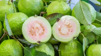 A guava a day keeps…check out the benefits of the superfruit inside!