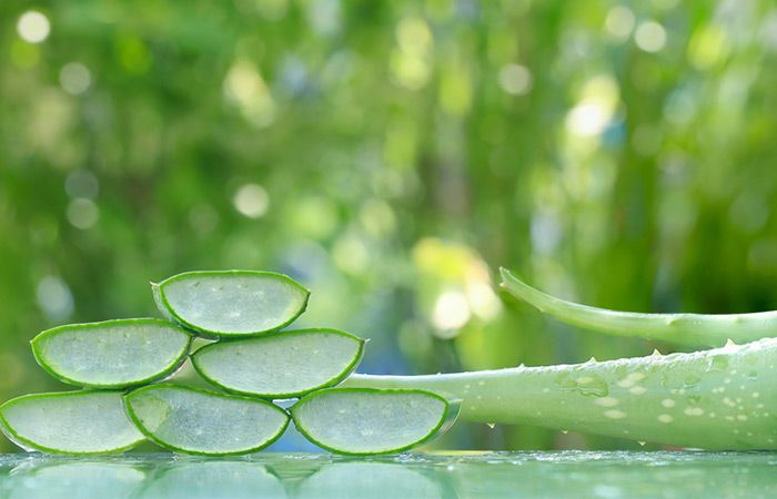 Know some magical health benefits of drinking Aloe-vera ...