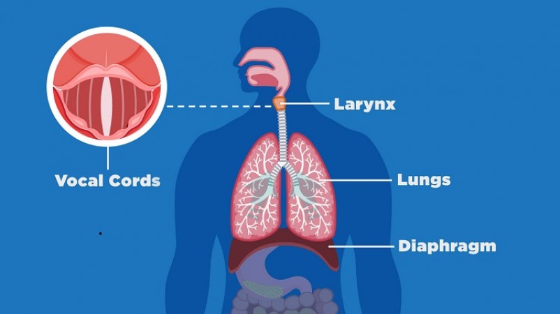 Do Hiccups Cause Problems? Try These Methods, and They Will Soon Be Gone