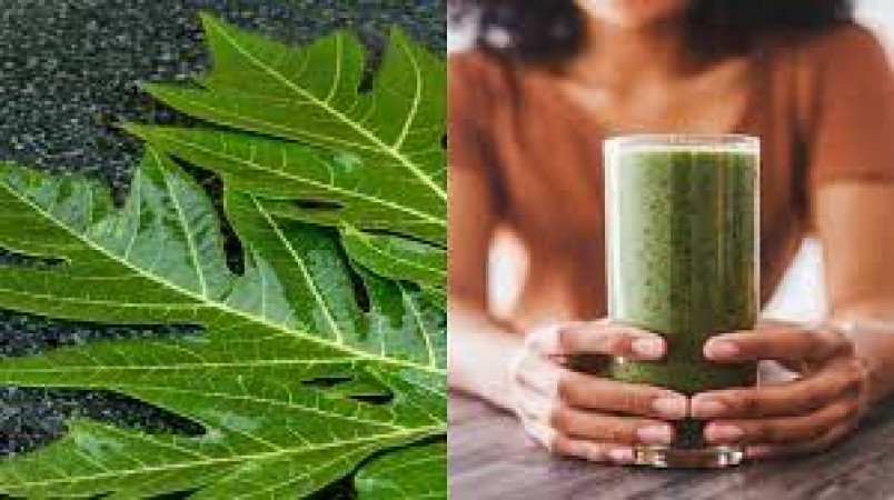 Liver will be clean and blood sugar will also be under control, drink the decoction of this leaf