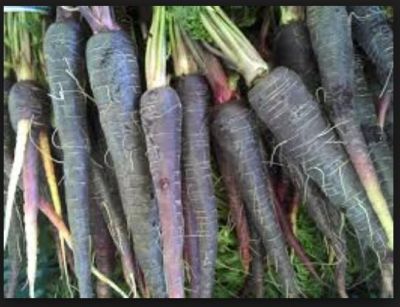 Black carrots, A Perfect Solution To Your Digestive Problems