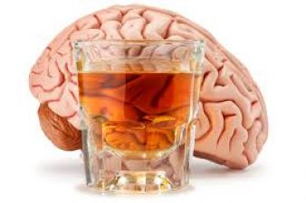 Alcohol consumption leads to reduced grey matter of brain