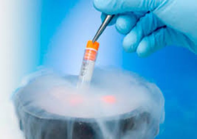 Oocyte Cryopreservation: A boon for ladies intending to delay family planning