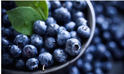 Blueberry Day: Check the Health Benefits of Blueberry