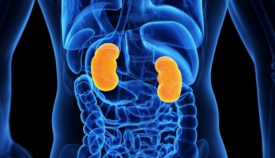 Experts suggests, Covid-affected people to keep kidney health in check
