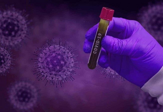Coronavirus not leaked from lab, most likely to natural origin: Study