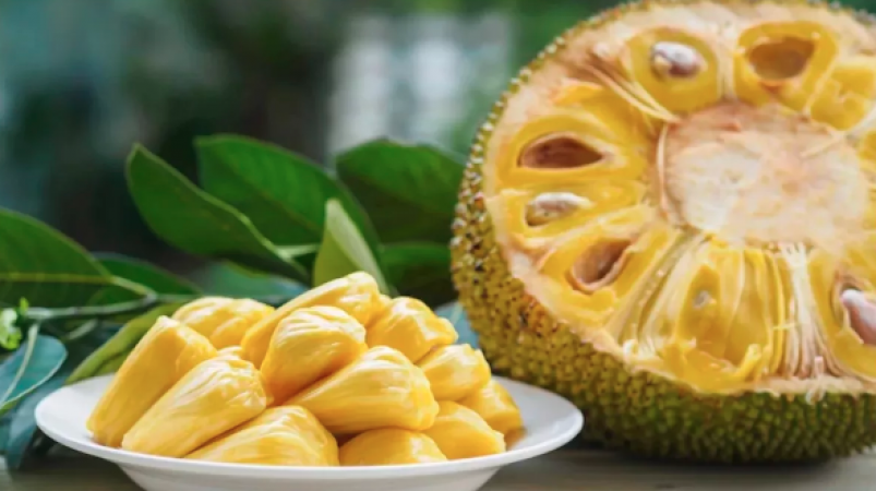 Jackfruit seeds are no less than a boon for health, and eating them has these 5 great benefits:
