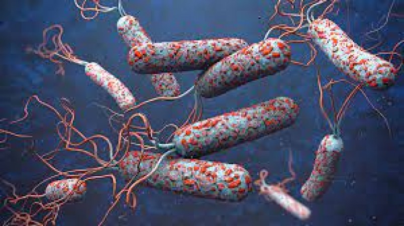 Heading: Cholera: Understanding the Causes, Symptoms, Treatment, and Prevention