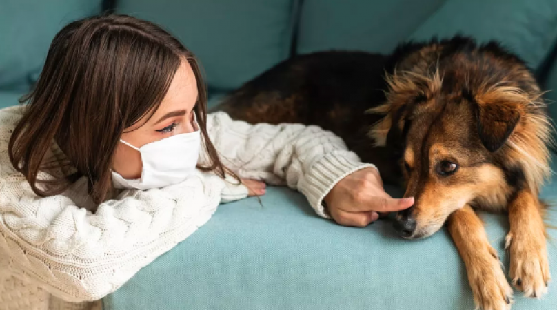 Pets and Infectious Diseases: Do you know that your loving pets can also give you many diseases?