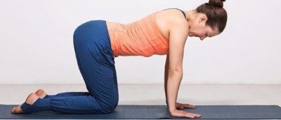 Yoga Asanas for beginners