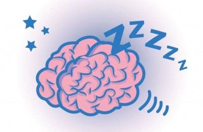 The Brain Is More Active at Night Than During the Day