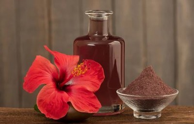 The Blossoming Wonder: Exploring the 8 Benefits of Hibiscus